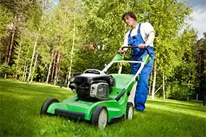 Landscaping cleaning service preview